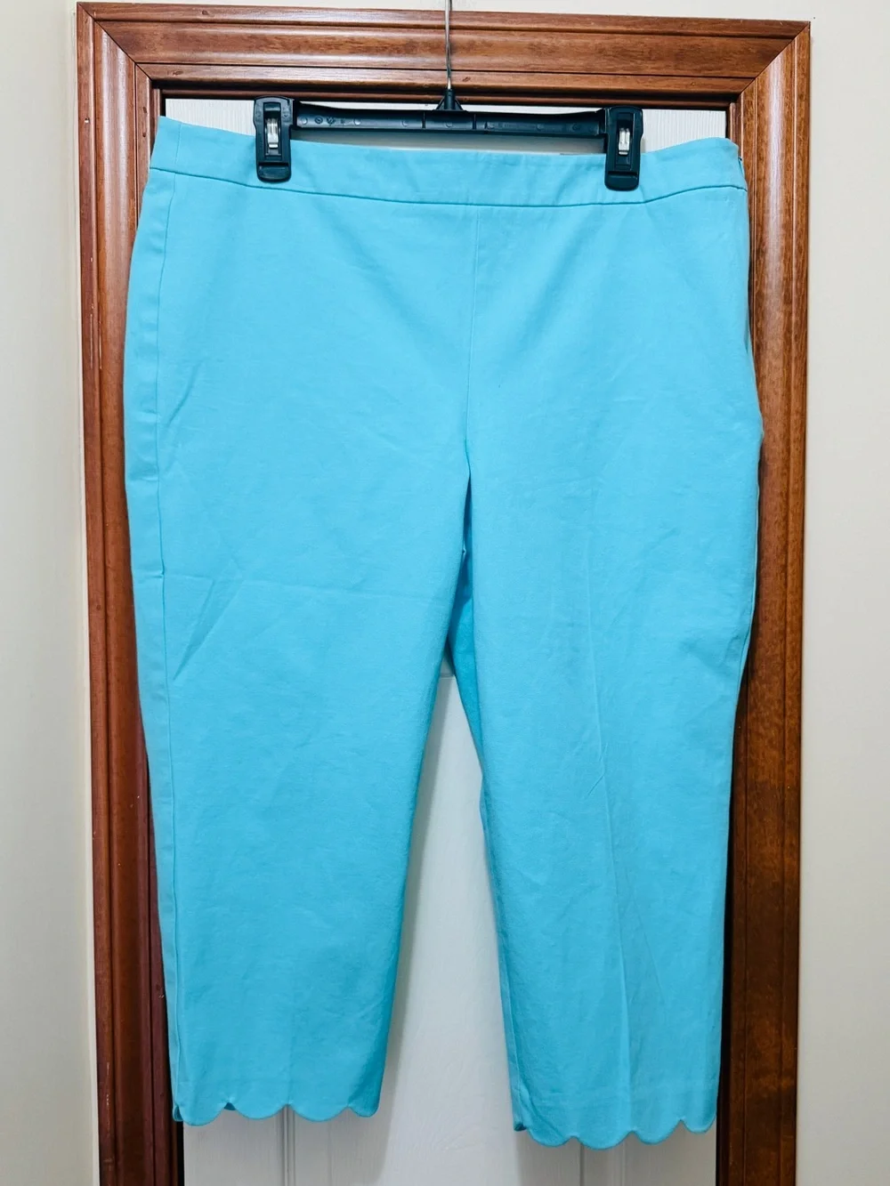 Talbots Chatham Crop pants with scalloped edges. Tiffany Blue size 16P NEW